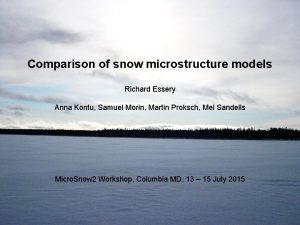 Comparison of snow microstructure models Richard Essery Anna