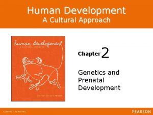 Human Development A Cultural Approach Chapter 2 Genetics