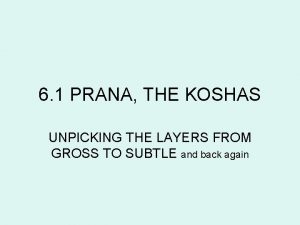 What is pranamaya kosha