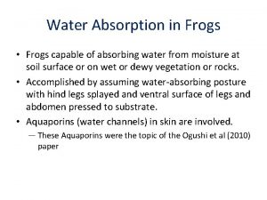 Water Absorption in Frogs Frogs capable of absorbing