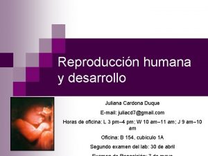 Reproduccin humana y desarrollo Juliana Cardona Duque Email