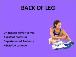 BACK OF LEG Dr Rakesh Kumar Verma Assistant