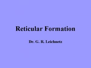 Reticular formation Reticular formation