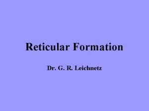 Reticular Formation Dr G R Leichnetz Reticular Formation