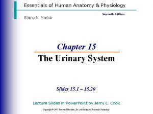 Essentials of Human Anatomy Physiology Seventh Edition Elaine