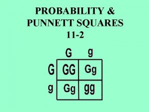 PROBABILITY PUNNETT SQUARES 11 2 Interest Grabber Section