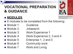 Vocational preparation and guidance