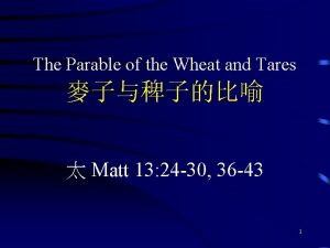 The wheat and tares