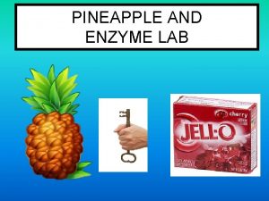 Pineapple enzyme lab