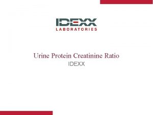 Urine Protein Creatinine Ratio IDEXX Todays Agenda l