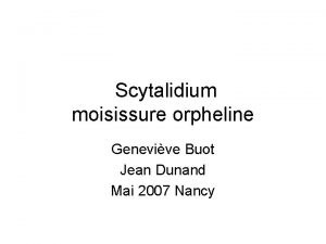 Scytalidium moisissure orpheline Genevive Buot Jean Dunand Mai