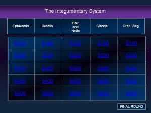 The Integumentary System Epidermis Dermis Hair and Nails