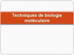 Techniques de biologie molculaire PCR Polymrase chain reaction