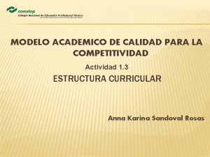 MODELO ACADEMICO DE CALIDAD PARA LA COMPETITIVIDAD Actividad