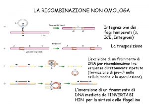 Ricombinazione omologa e non omologa