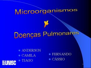 Pneumonia tipica e atipica