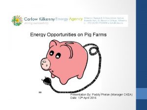 Energy Opportunities on Pig Farms Presentation By Paddy