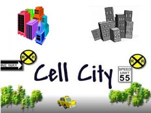 Cell city wall