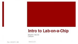 Intro to LabonaChip ENGR 1182 03 Lecture Rev