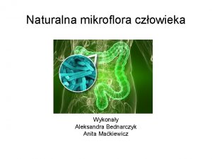 Naturalna mikroflora czowieka Wykonay Aleksandra Bednarczyk Anita Makiewicz