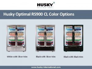 Husky Optimal RS 900 CL Color Options White
