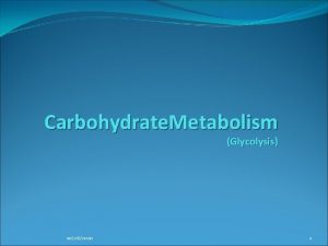Carbohydrate Metabolism Glycolysis 10262020 1 A Map of