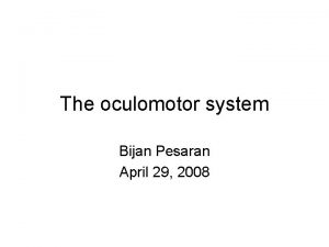 The oculomotor system Bijan Pesaran April 29 2008