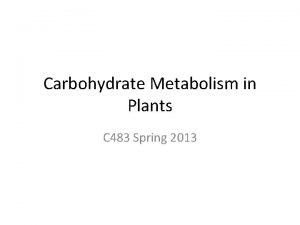Carbohydrate Metabolism in Plants C 483 Spring 2013