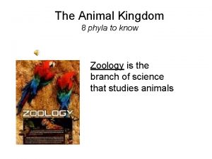 8 phyla of invertebrates