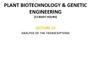 PLANT BIOTECHNOLOGY GENETIC ENGINEERING 3 CREDIT HOURS LECTURE