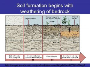 Soil formation begins with the weathering of