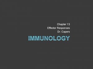 Chapter 13 Effector Responses Dr Capers IMMUNOLOGY Kindt