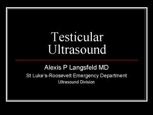 Testicular Ultrasound Alexis P Langsfeld MD St LukesRoosevelt