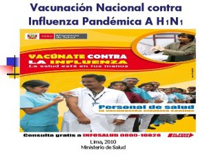 Vacunacin Nacional contra Influenza Pandmica A H 1