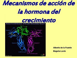 Mecanismos de accin de la hormona del crecimiento