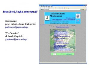 http bio 5 fizyka amu edu pl Kierownik