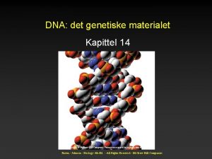 DNA det genetiske materialet Kapittel 14 Copyright Mc