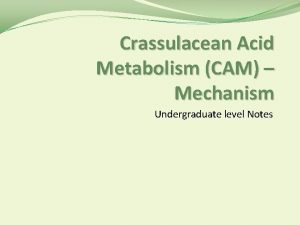 Crassulacean Acid Metabolism CAM Mechanism Undergraduate level Notes