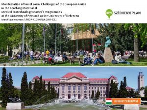 Manifestation of Novel Social Challenges of the European