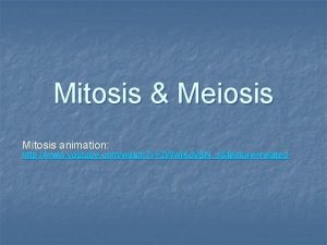 Mitosis and meiosis youtube