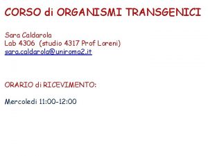 CORSO di ORGANISMI TRANSGENICI Sara Caldarola Lab 4306