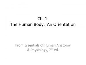 Body orientation definition
