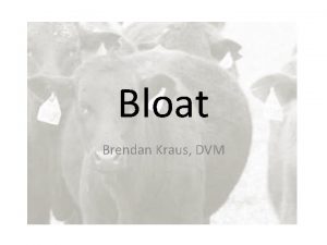 Treatment for bloat in cattle