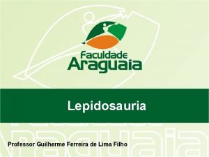 Lepidosauria Professor Guilherme Ferreira de Lima Filho Reptilia