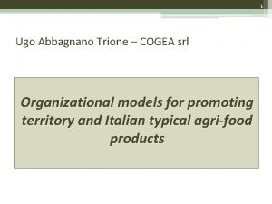 1 Ugo Abbagnano Trione COGEA srl Organizational models