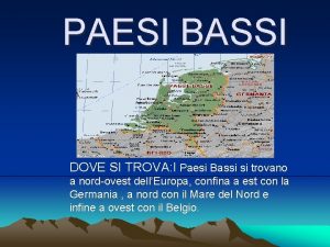 Paesi bassi dove si trovano