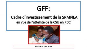 GFF Cadre dinvestissement de la SRMNEA en vue