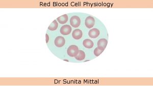 Red Blood Cell Physiology Dr Sunita Mittal Learning
