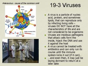 Adenovirus cause of the common cold 19 3