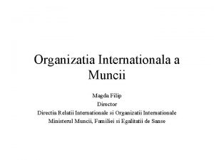 Organizatia Internationala a Muncii Magda Filip Director Directia